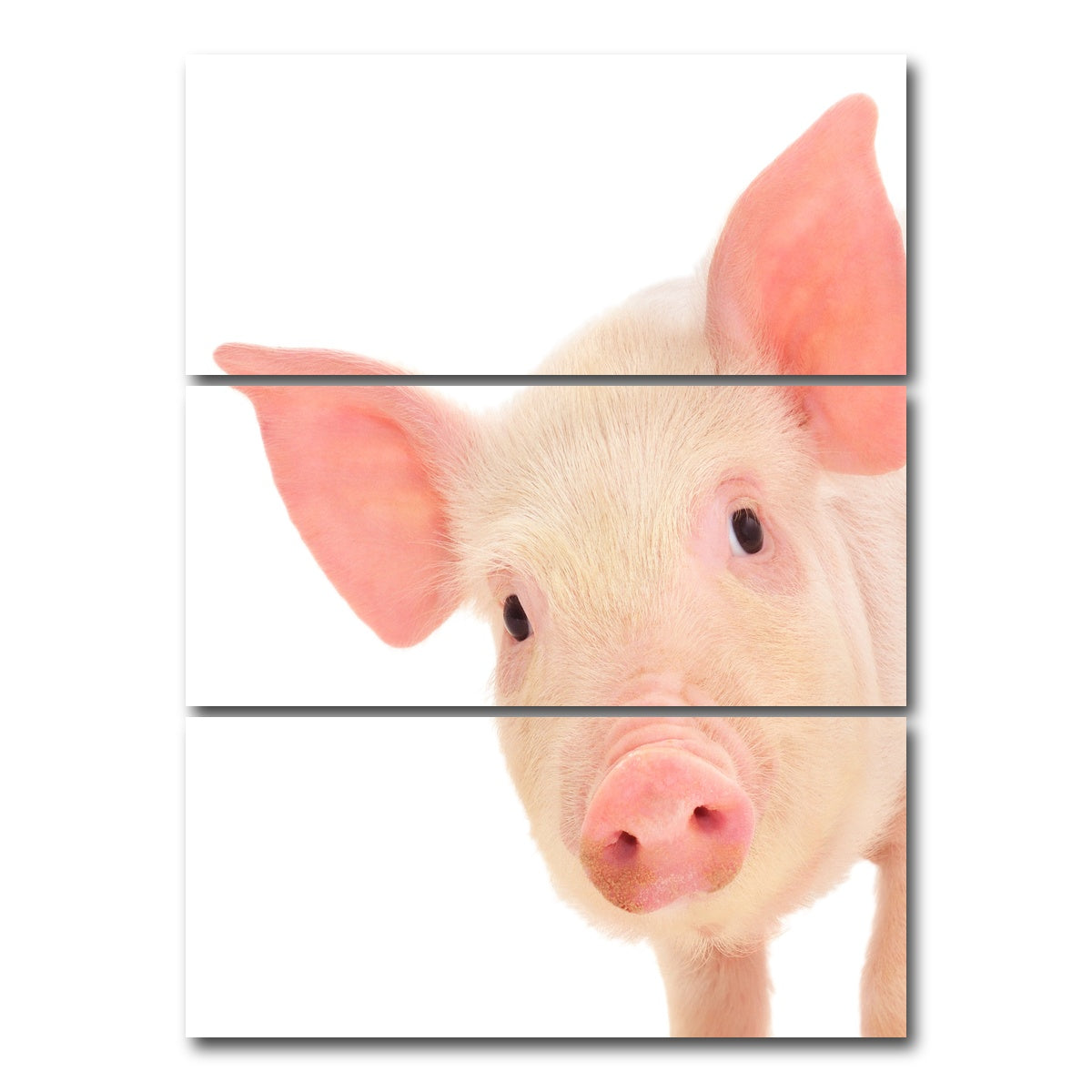 AUTO-MOCKUP WHITE | Cute Baby Pig | 3 Piece | Gallery Wrap Canvas | group=8x18_stacked