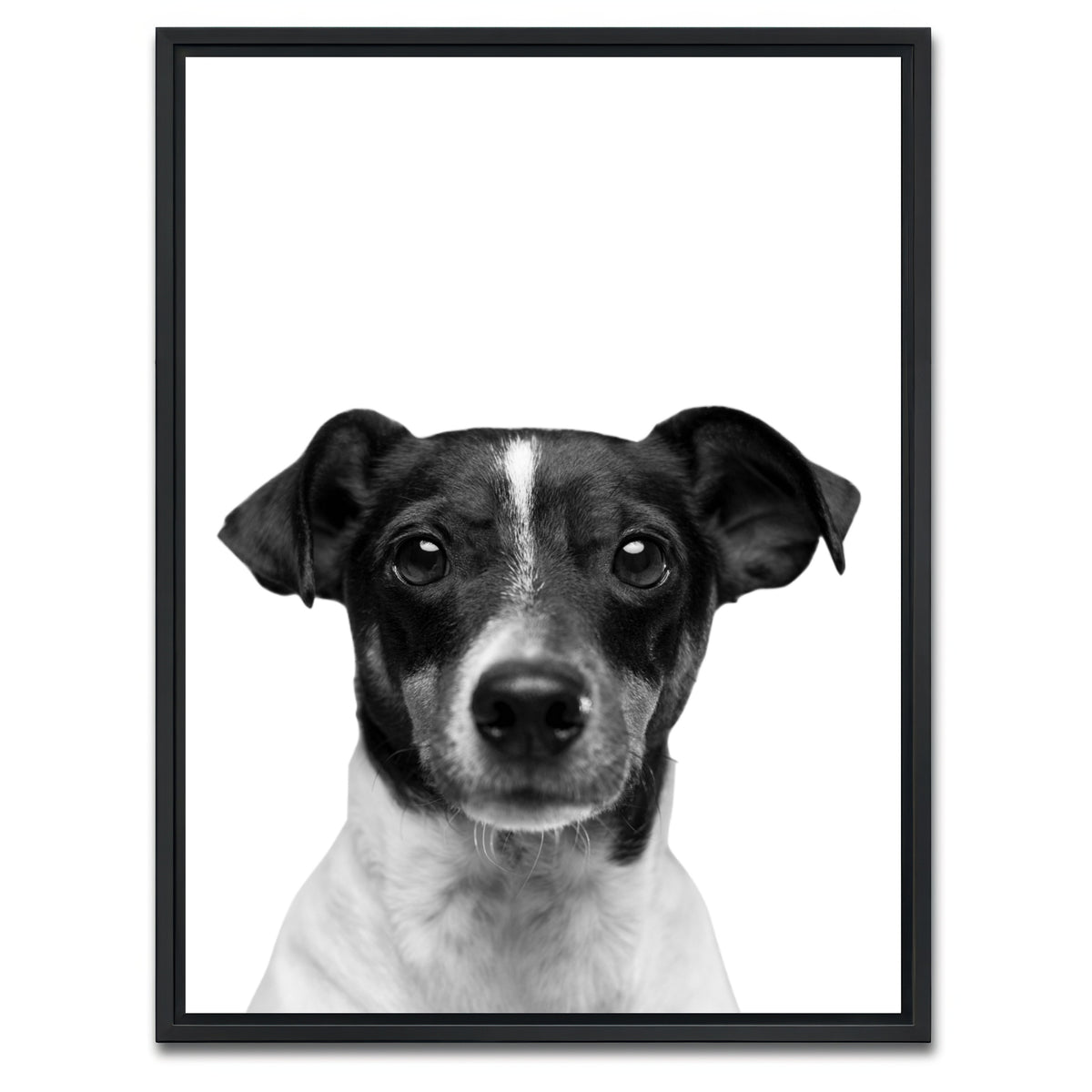 AUTO-MOCKUP WHITE | Cutie Dog | 1 Piece | Black Framed Canvas | group=3x4