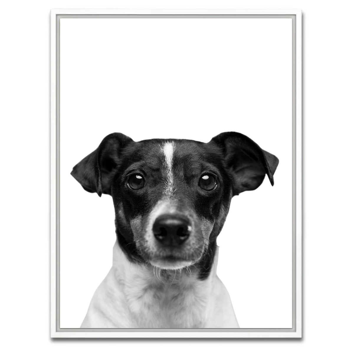 AUTO-MOCKUP WHITE | Cutie Dog | 1 Piece | White Framed Canvas | group=3x4