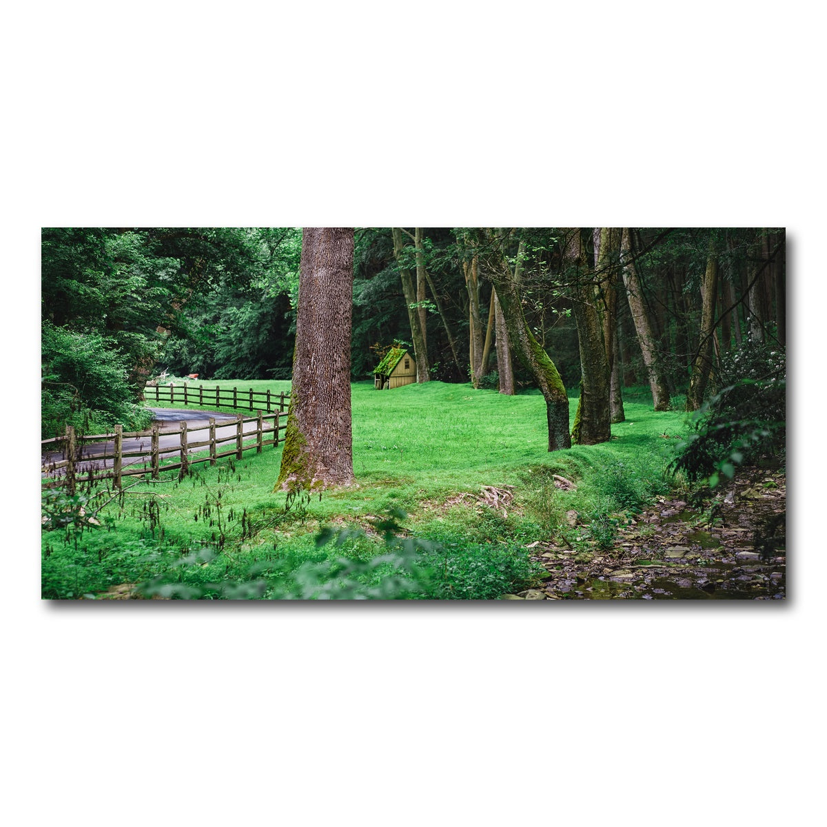 AUTO-MOCKUP WHITE | Cuttalossa Farm | 1 Piece | Gallery Wrap Canvas | group=2x1