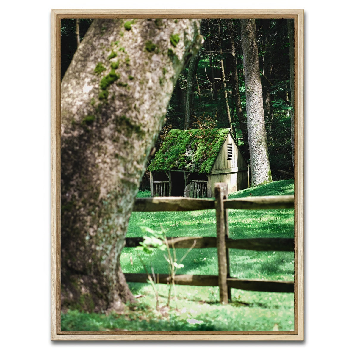 AUTO-MOCKUP WHITE | Cuttalossa Moss | 1 Piece | Natural Framed Canvas | group=3x4