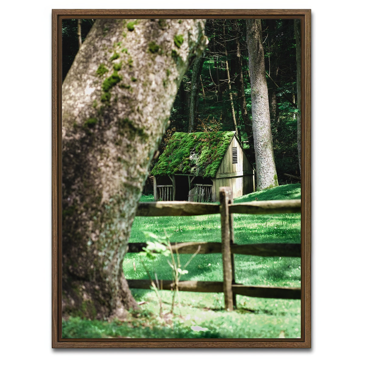 AUTO-MOCKUP WHITE | Cuttalossa Moss | 1 Piece | Walnut Framed Canvas | group=3x4