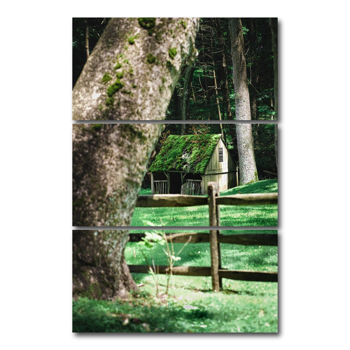 AUTO-MOCKUP WHITE | Cuttalossa Moss | 3 Piece | Gallery Wrap Canvas | group=12x24_stacked