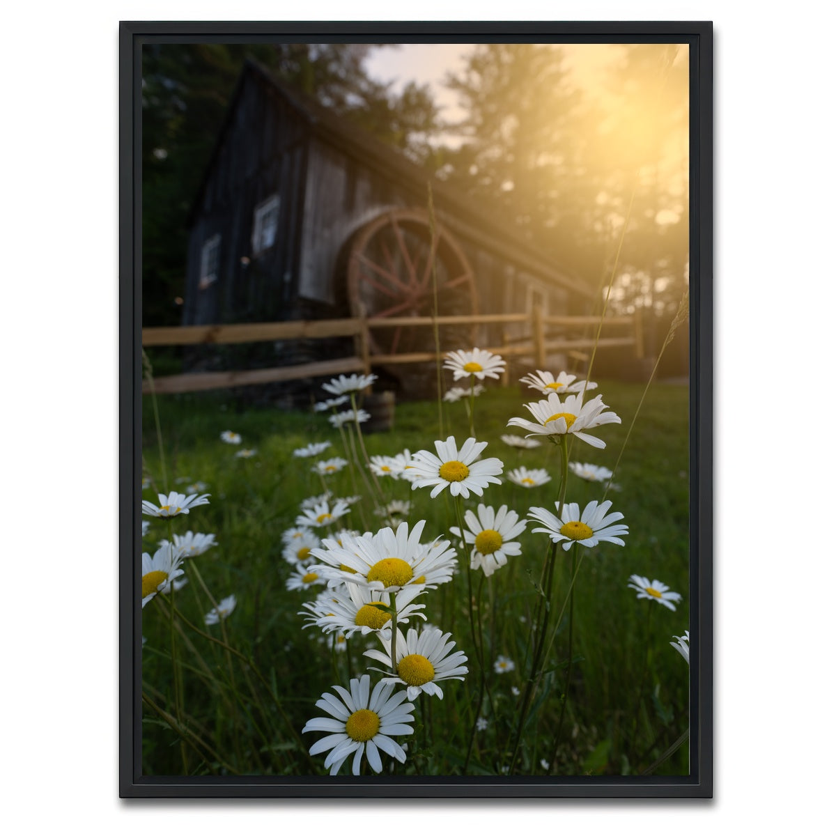 AUTO-MOCKUP WHITE | Daisy-Mill | 1 Piece | Black Framed Canvas | group=3x4
