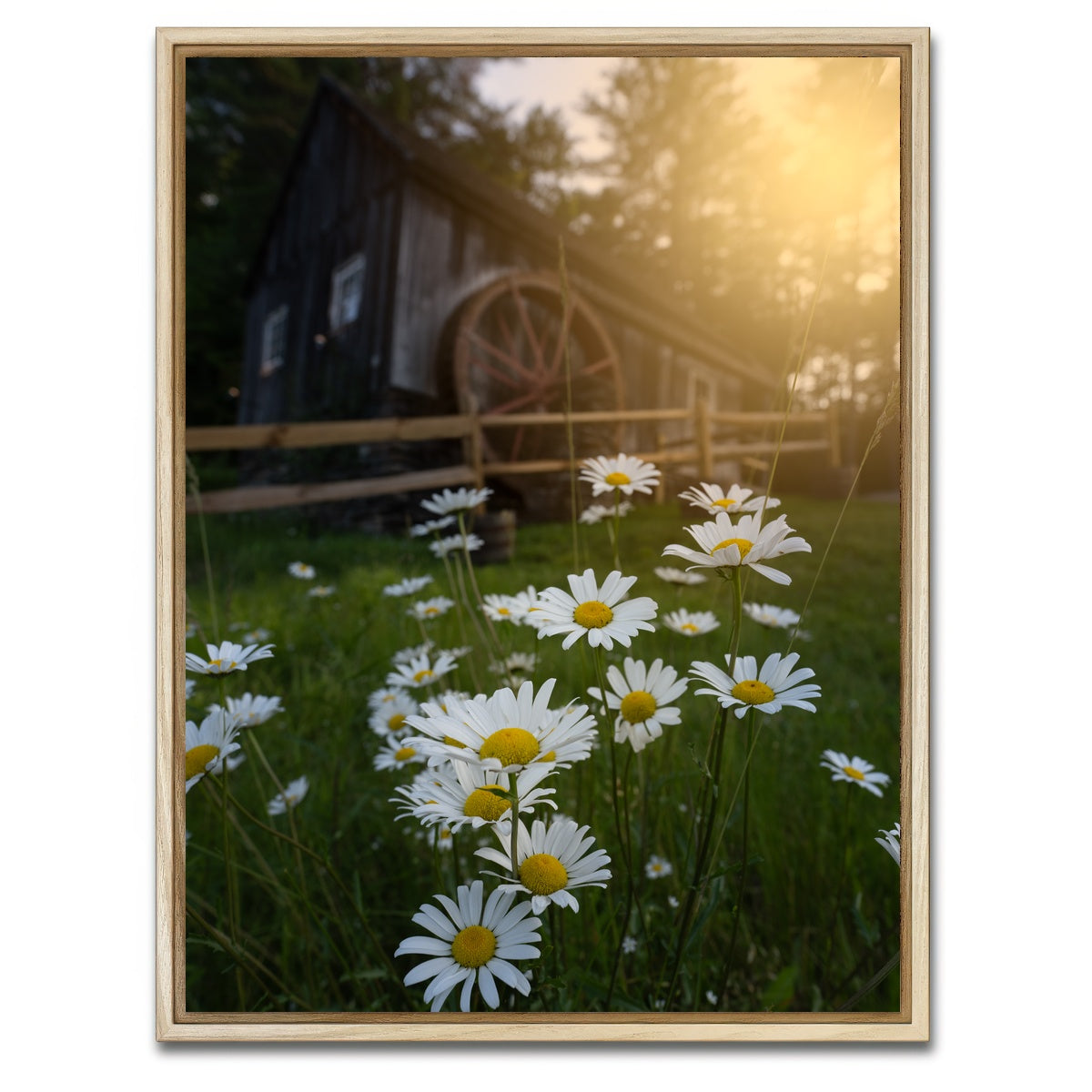 AUTO-MOCKUP WHITE | Daisy-Mill | 1 Piece | Natural Framed Canvas | group=3x4