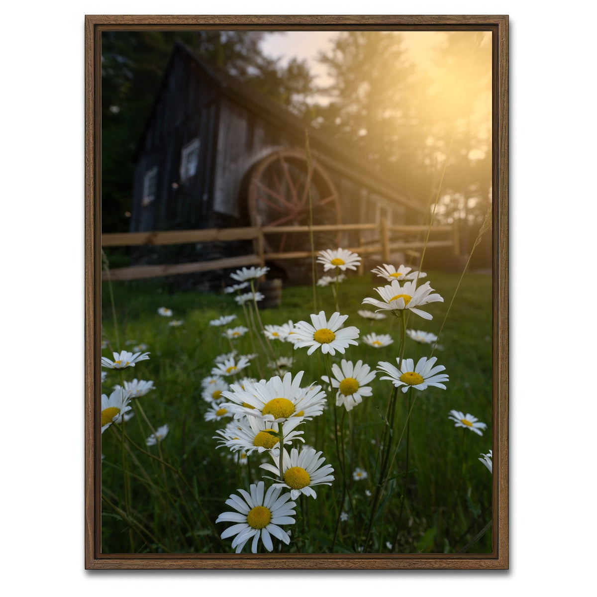 AUTO-MOCKUP WHITE | Daisy-Mill | 1 Piece | Walnut Framed Canvas | group=3x4