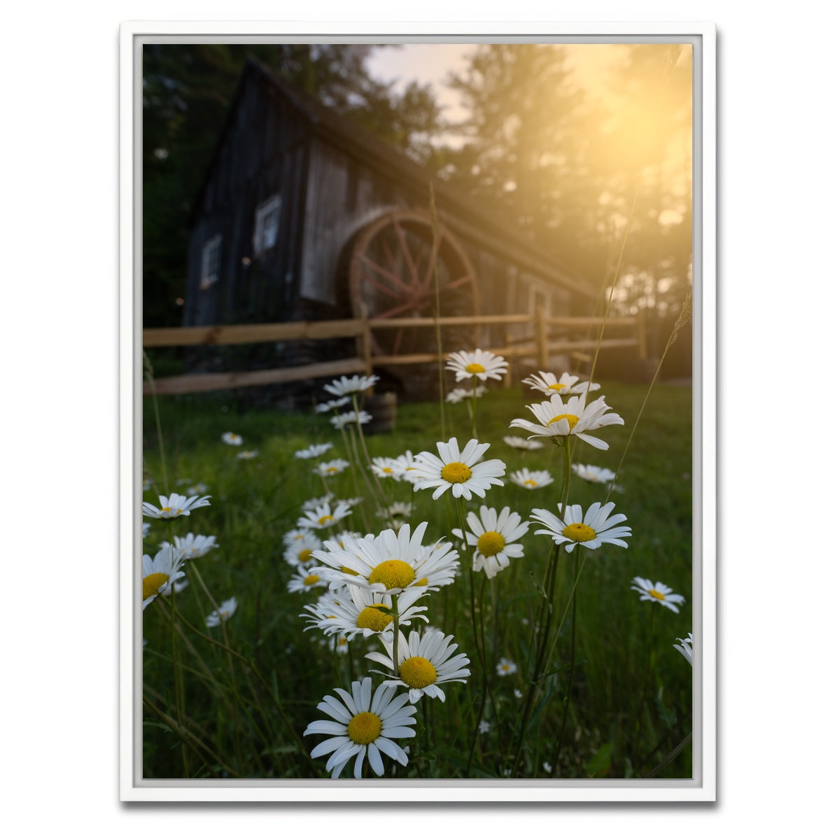 AUTO-MOCKUP WHITE | Daisy-Mill | 1 Piece | White Framed Canvas | group=3x4