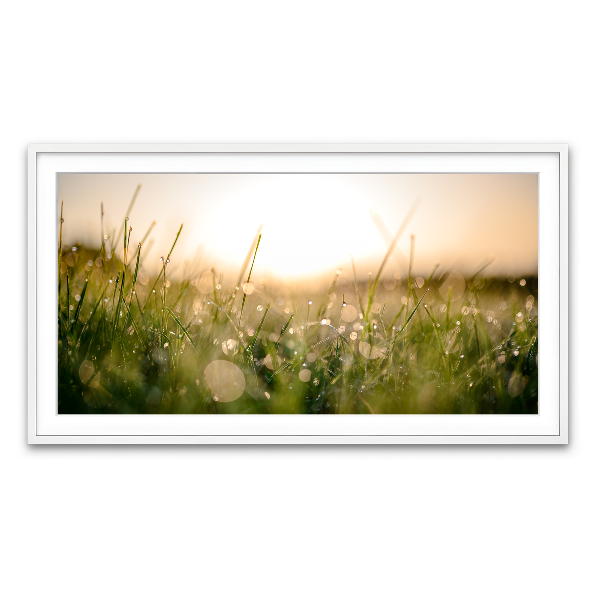 Framed Print 2x1 White