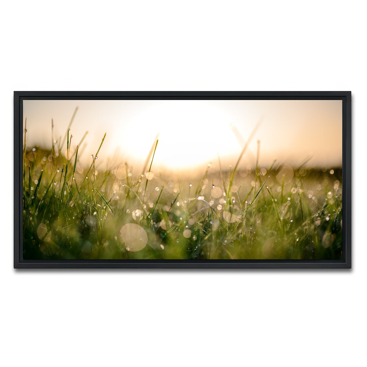 AUTO-MOCKUP WHITE | Damp Morning | 1 Piece | Black Framed Canvas | group=2x1