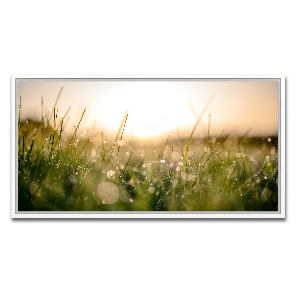 AUTO-MOCKUP WHITE | Damp Morning | 1 Piece | White Framed Canvas | group=2x1