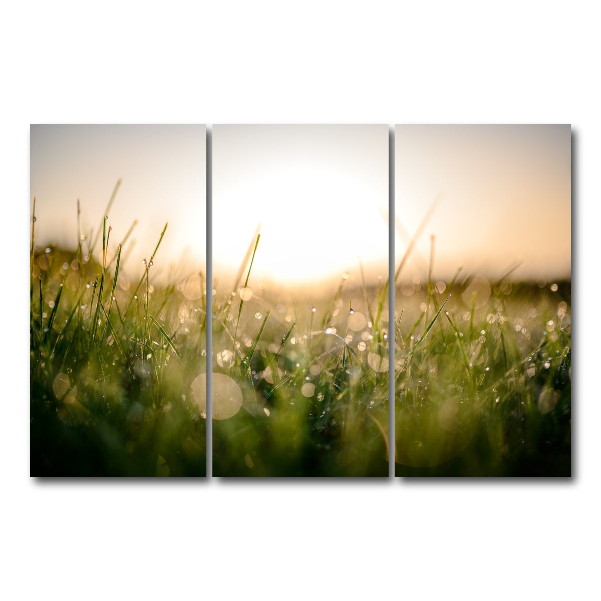 AUTO-MOCKUP WHITE | Damp Morning | 3 Piece | Gallery Wrap Canvas | group=12x24