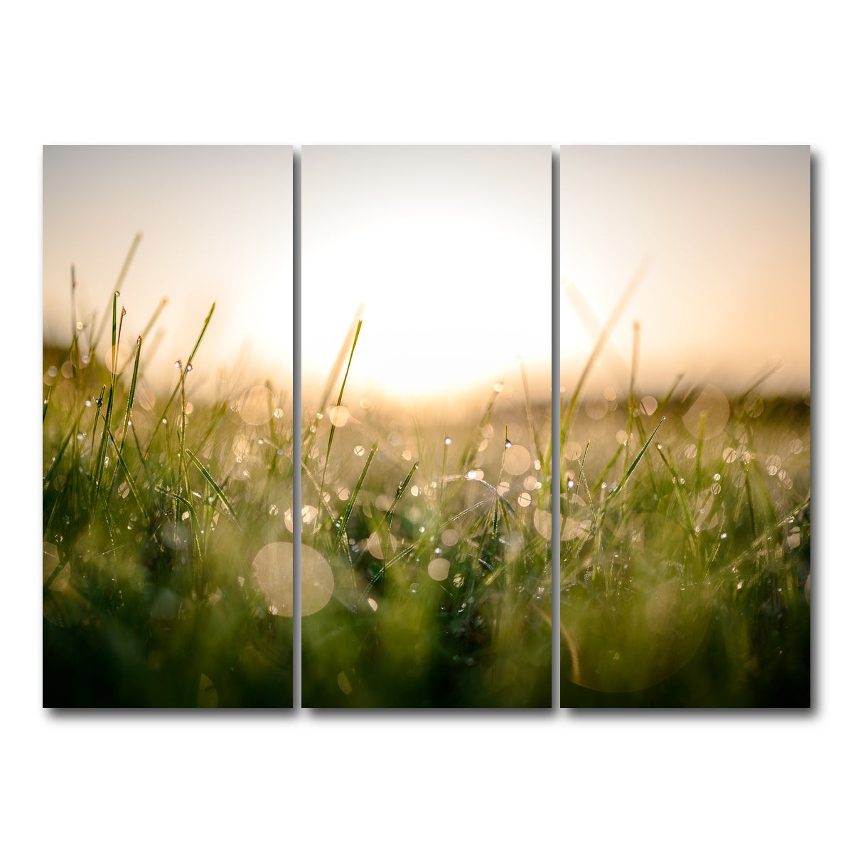 AUTO-MOCKUP WHITE | Damp Morning | 3 Piece | Gallery Wrap Canvas | group=8x18