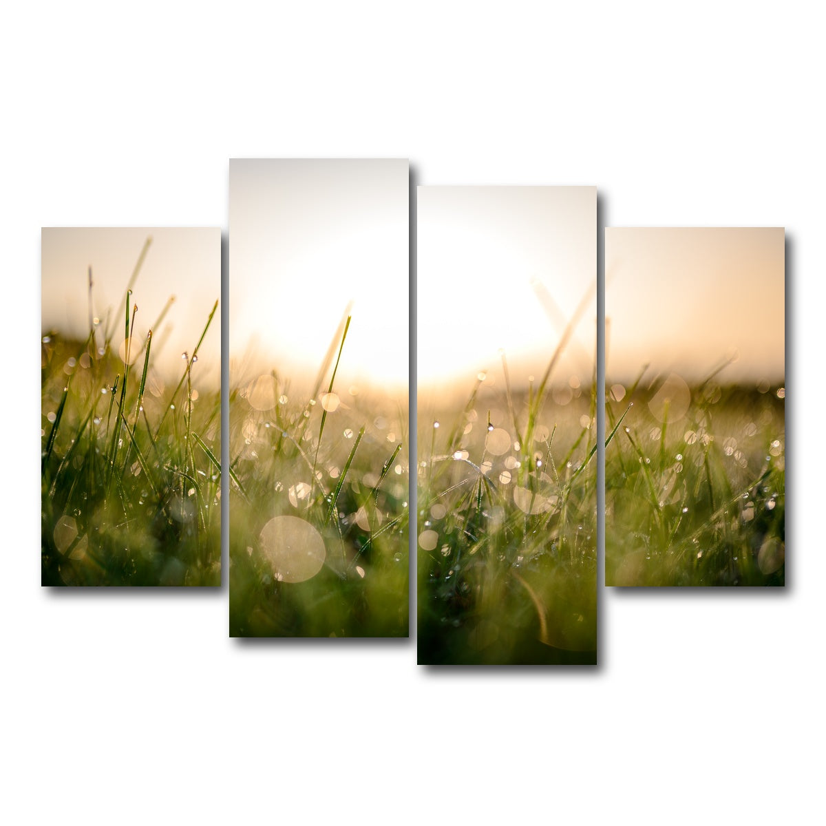 AUTO-MOCKUP WHITE | Damp Morning | 4 Piece | Gallery Wrap Canvas | group=4_short