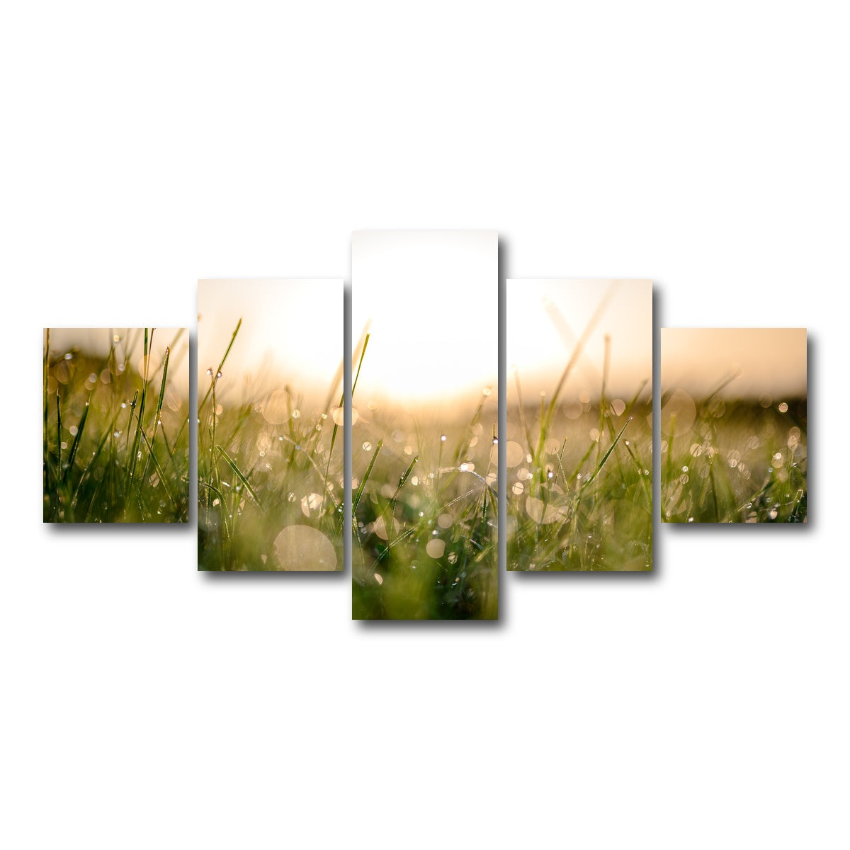 AUTO-MOCKUP WHITE | Damp Morning | 5 Piece | Gallery Wrap Canvas | group=5_short