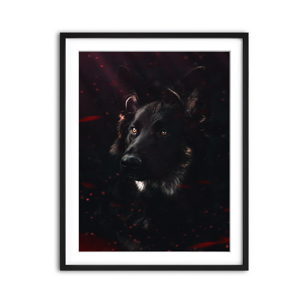 Framed Print 3x4 Black