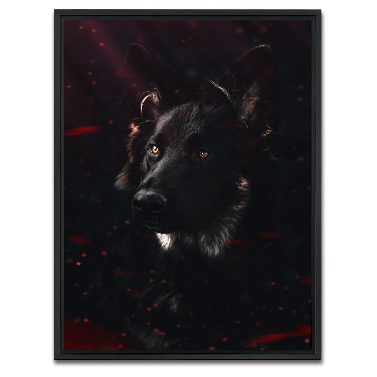 AUTO-MOCKUP WHITE | Dark Dog | 1 Piece | Black Framed Canvas | group=3x4