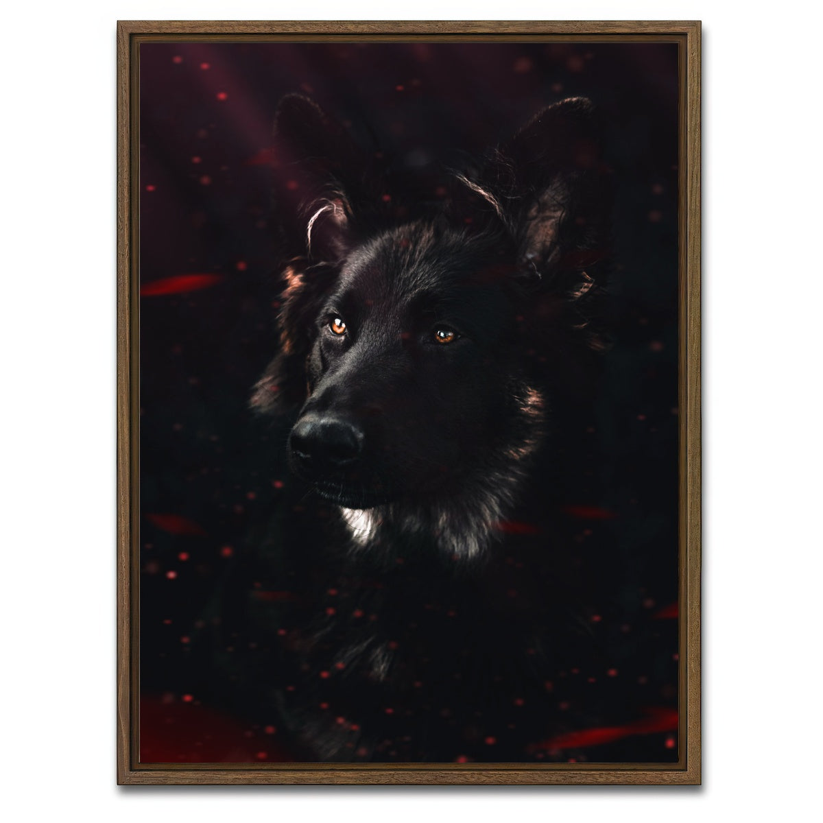 AUTO-MOCKUP WHITE | Dark Dog | 1 Piece | Walnut Framed Canvas | group=3x4