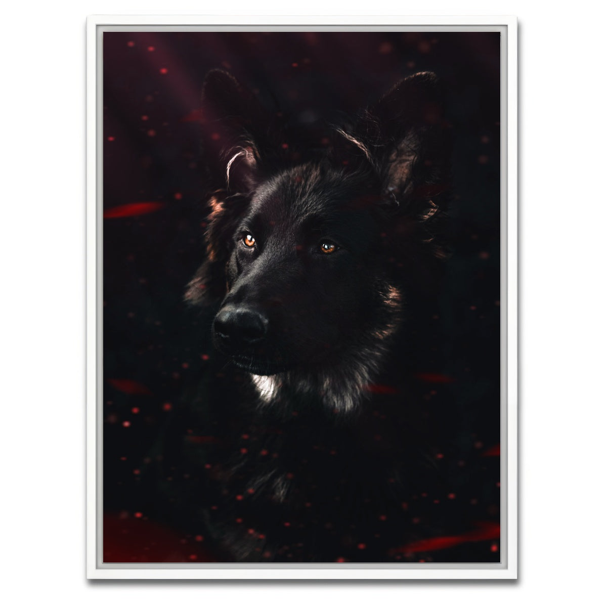 AUTO-MOCKUP WHITE | Dark Dog | 1 Piece | White Framed Canvas | group=3x4