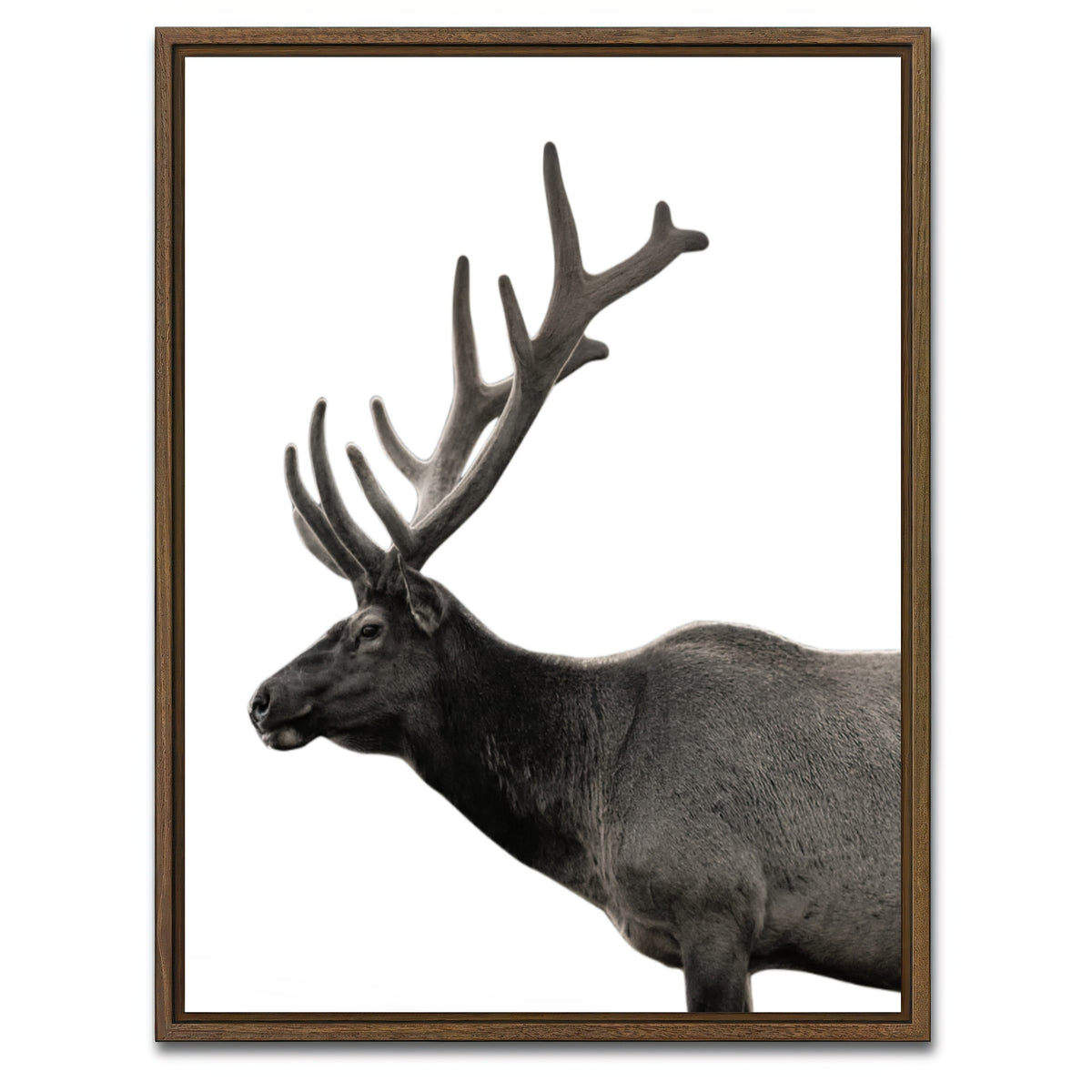 AUTO-MOCKUP WHITE | Deer Grayscale | 1 Piece | Walnut Framed Canvas | group=3x4
