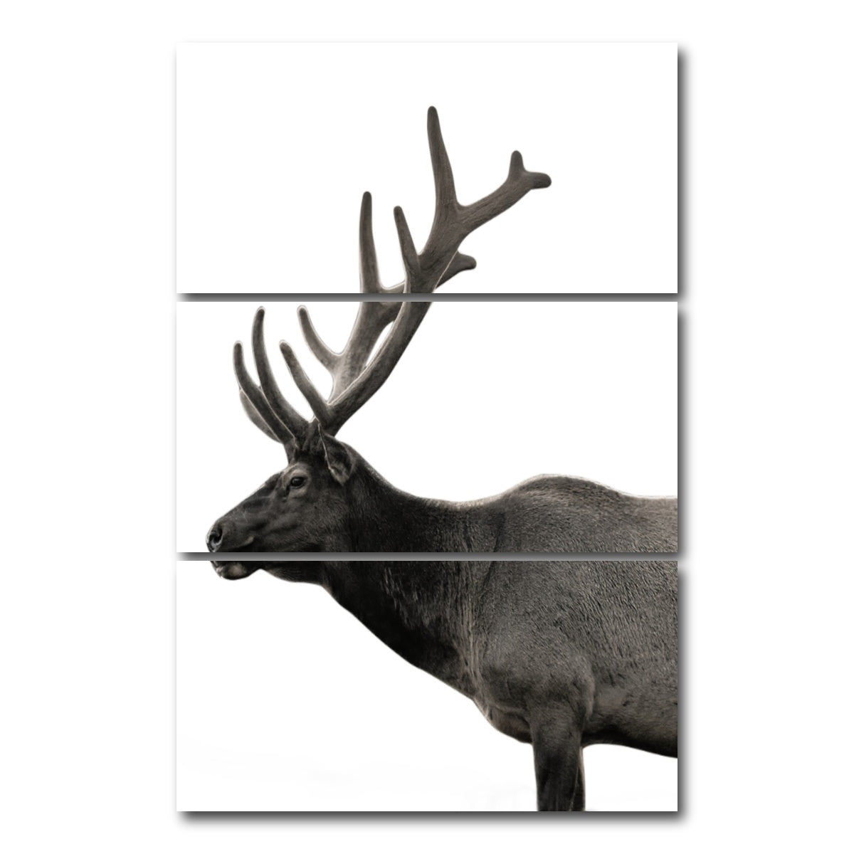 AUTO-MOCKUP WHITE | Deer Grayscale | 3 Piece | Gallery Wrap Canvas | group=12x24_stacked