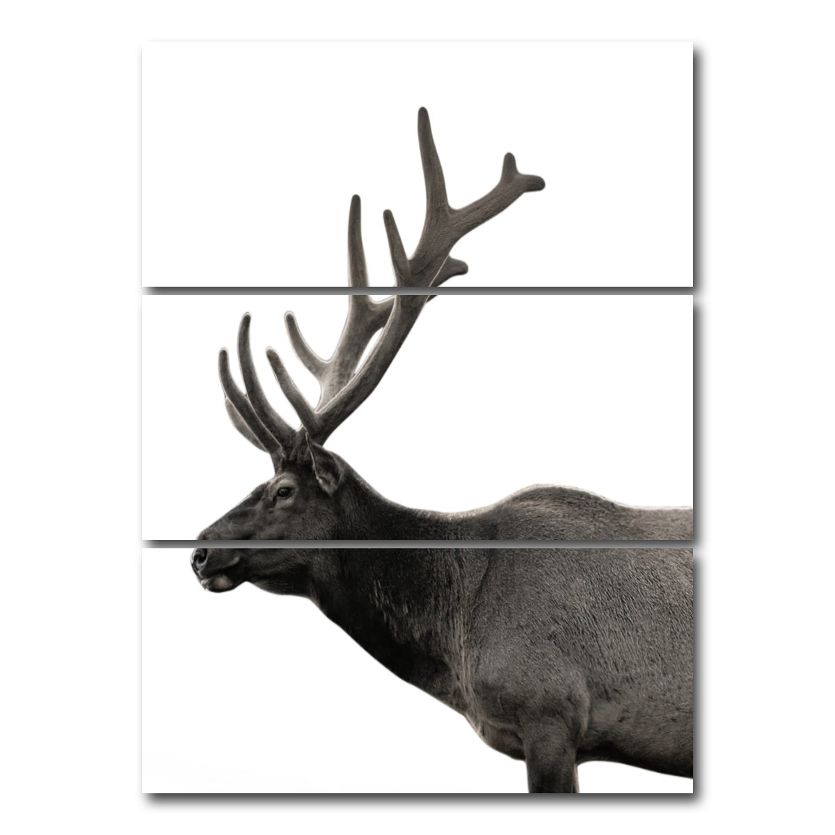 AUTO-MOCKUP WHITE | Deer Grayscale | 3 Piece | Gallery Wrap Canvas | group=8x18_stacked