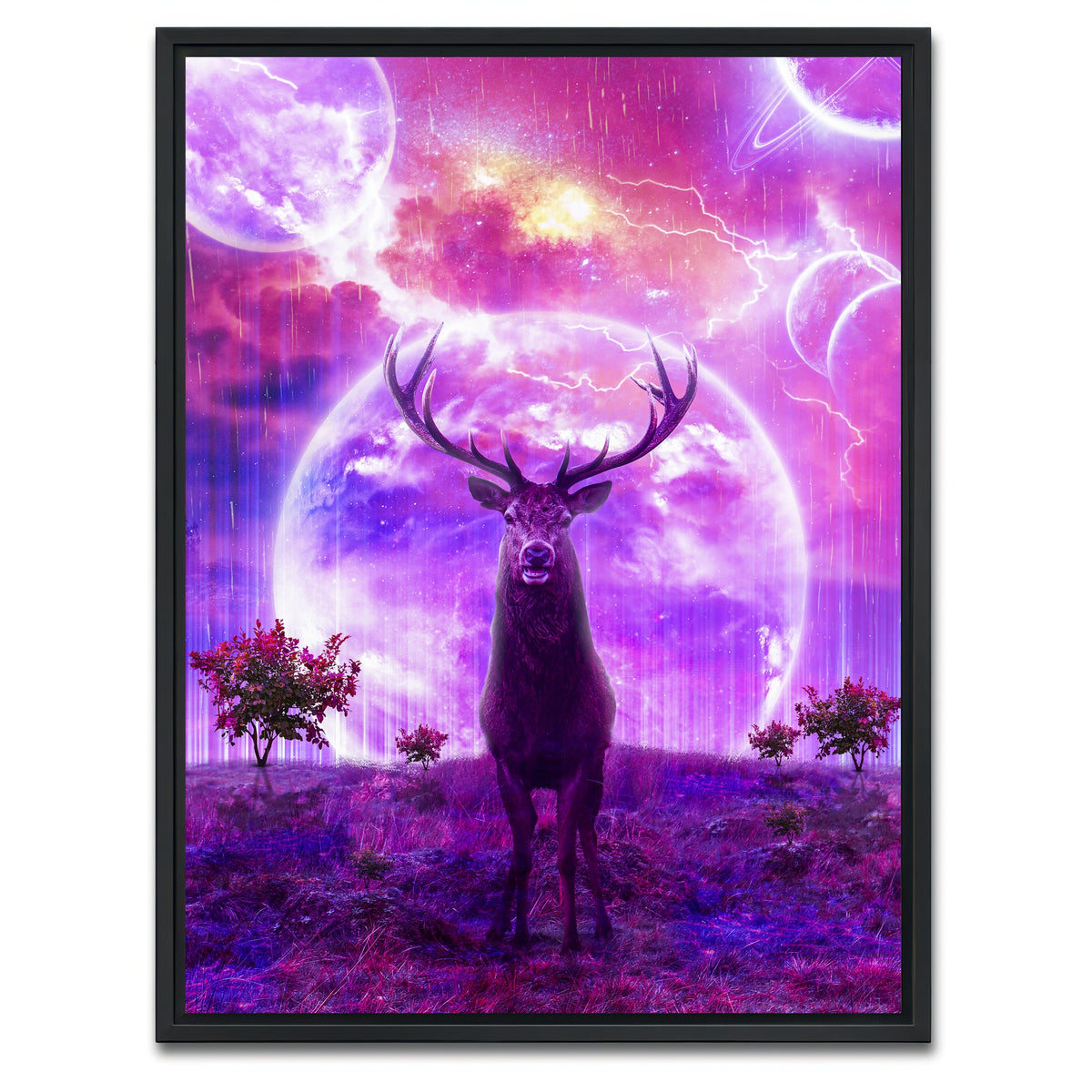 AUTO-MOCKUP WHITE | Deer Space | 1 Piece | Black Framed Canvas | group=3x4