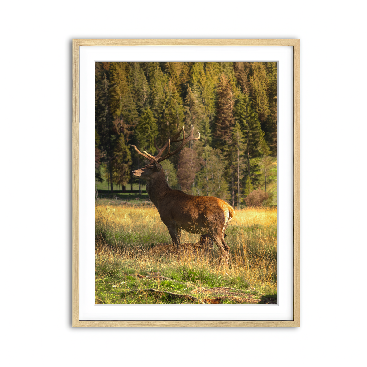 Framed Print 3x4 Natural