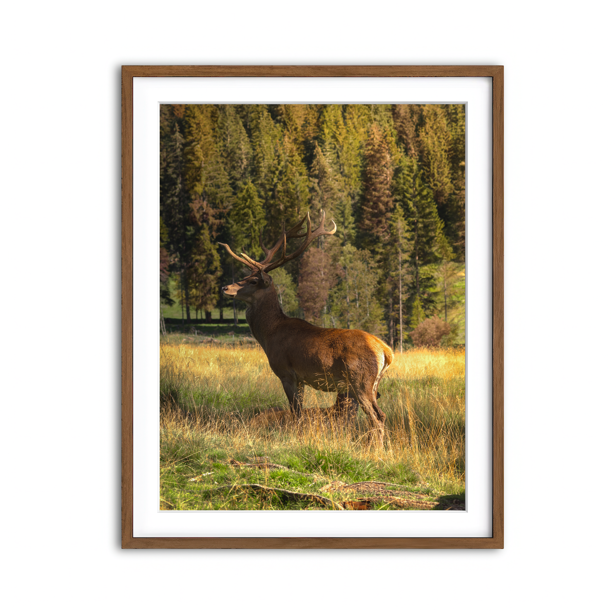Framed Print 3x4 Walnut