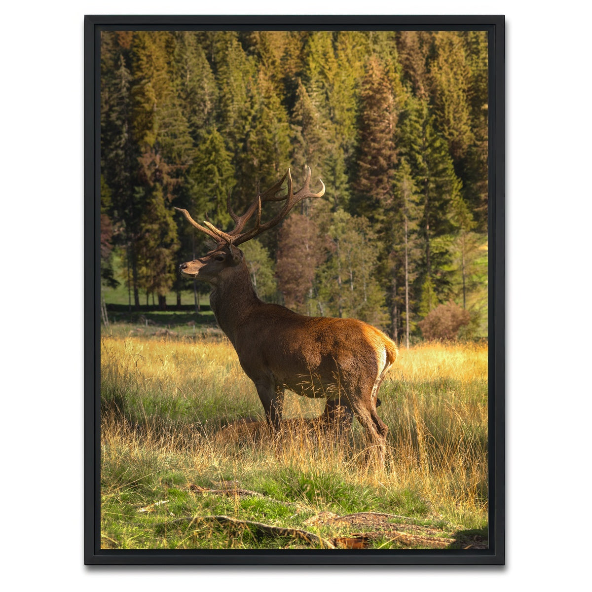 AUTO-MOCKUP WHITE | Deer | 1 Piece | Black Framed Canvas | group=3x4