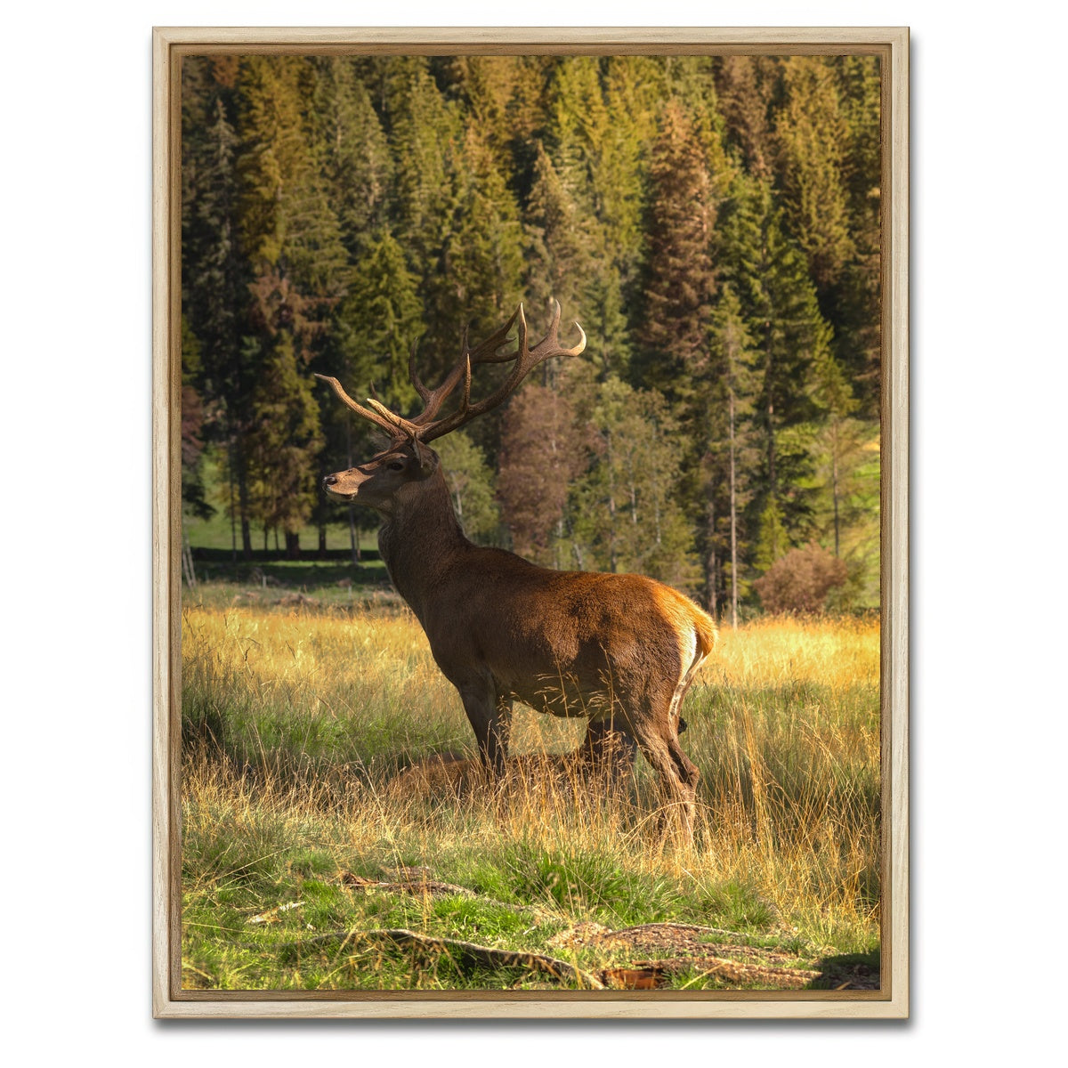 AUTO-MOCKUP WHITE | Deer | 1 Piece | Natural Framed Canvas | group=3x4