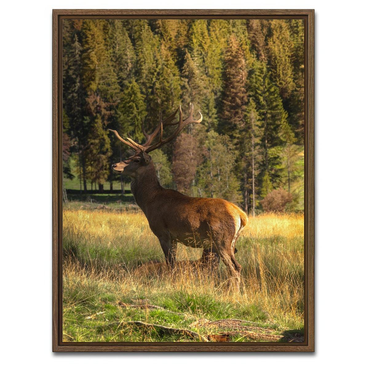 AUTO-MOCKUP WHITE | Deer | 1 Piece | Walnut Framed Canvas | group=3x4