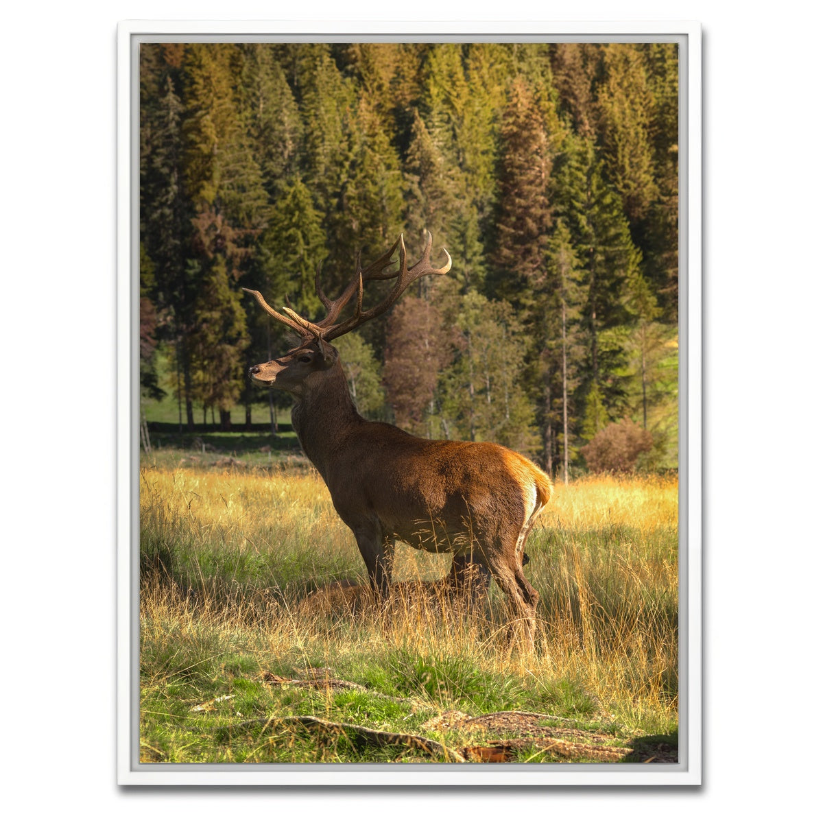AUTO-MOCKUP WHITE | Deer | 1 Piece | White Framed Canvas | group=3x4