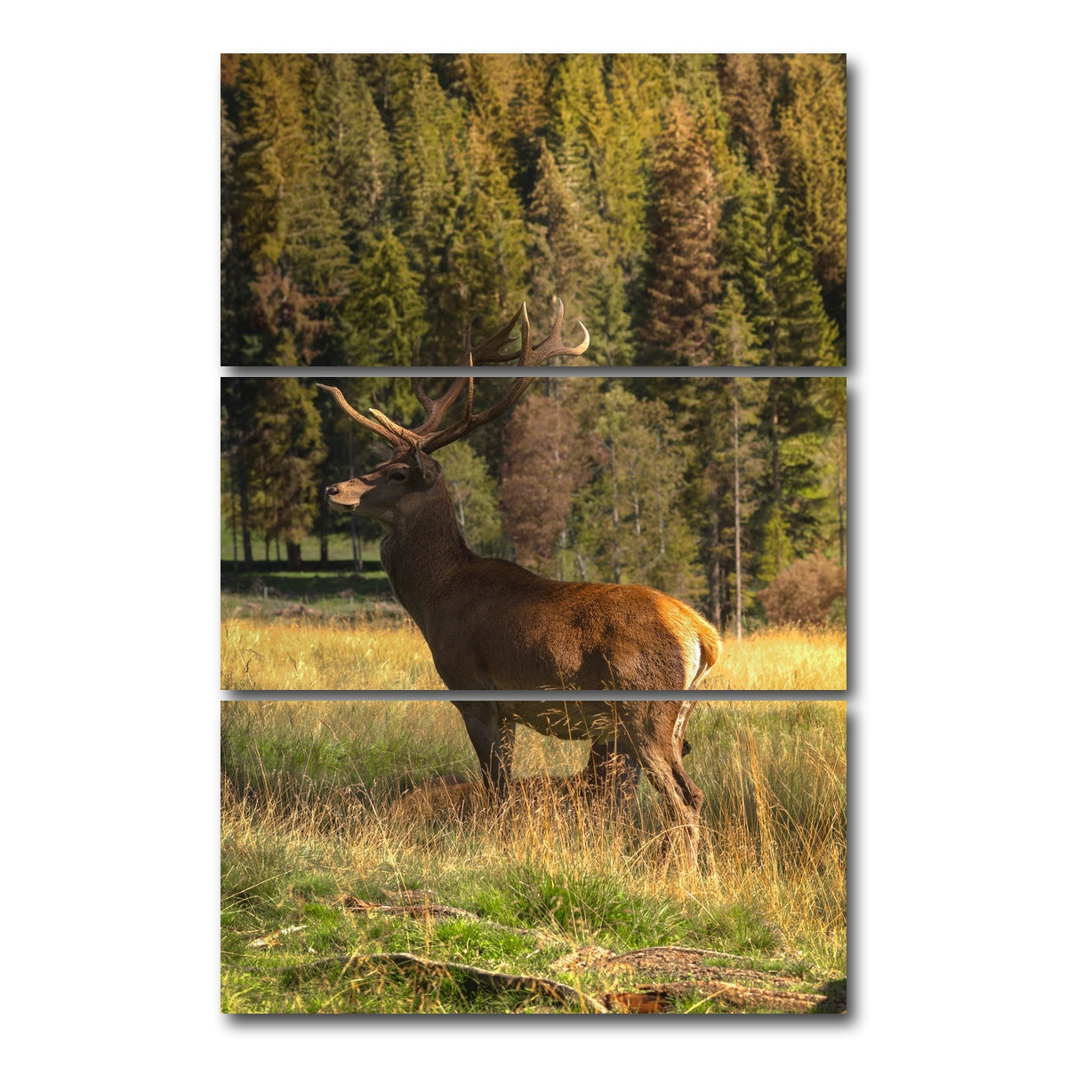 AUTO-MOCKUP WHITE | Deer | 3 Piece | Gallery Wrap Canvas | group=12x24_stacked