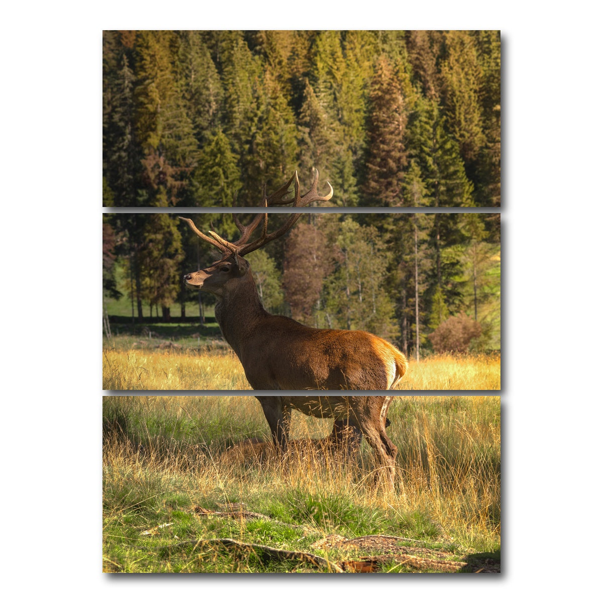 AUTO-MOCKUP WHITE | Deer | 3 Piece | Gallery Wrap Canvas | group=8x18_stacked