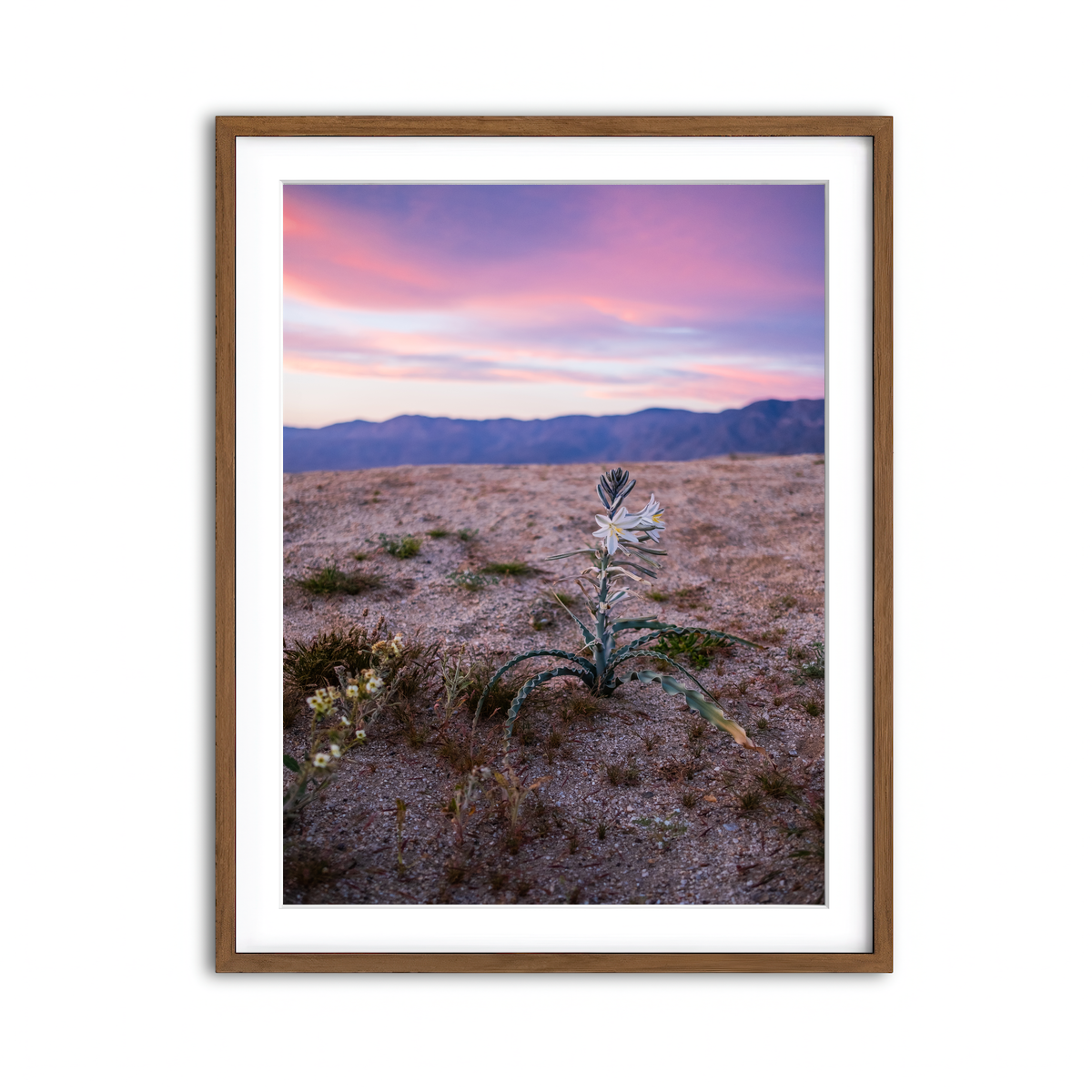 Framed Print 3x4 Walnut