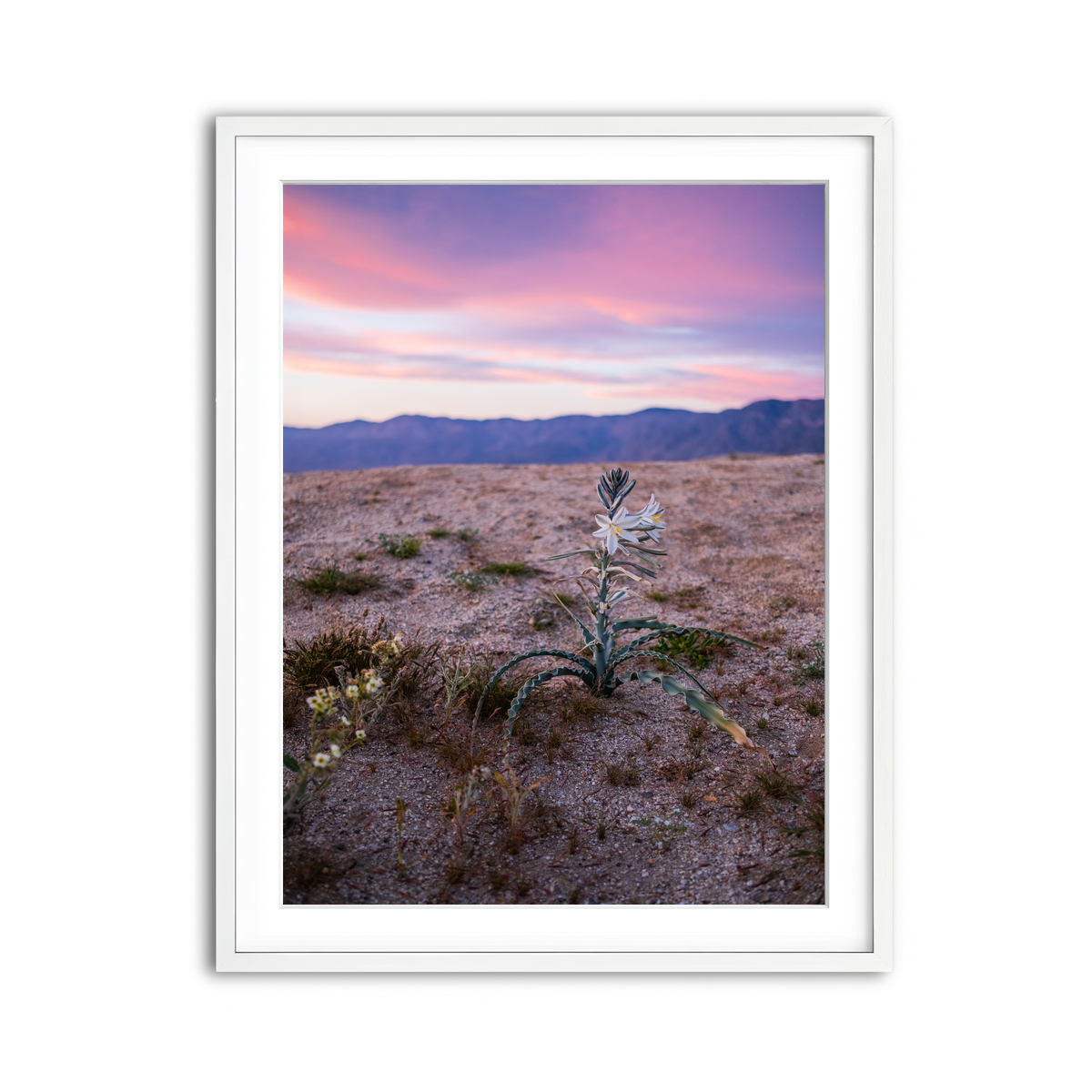 Framed Print 3x4 White