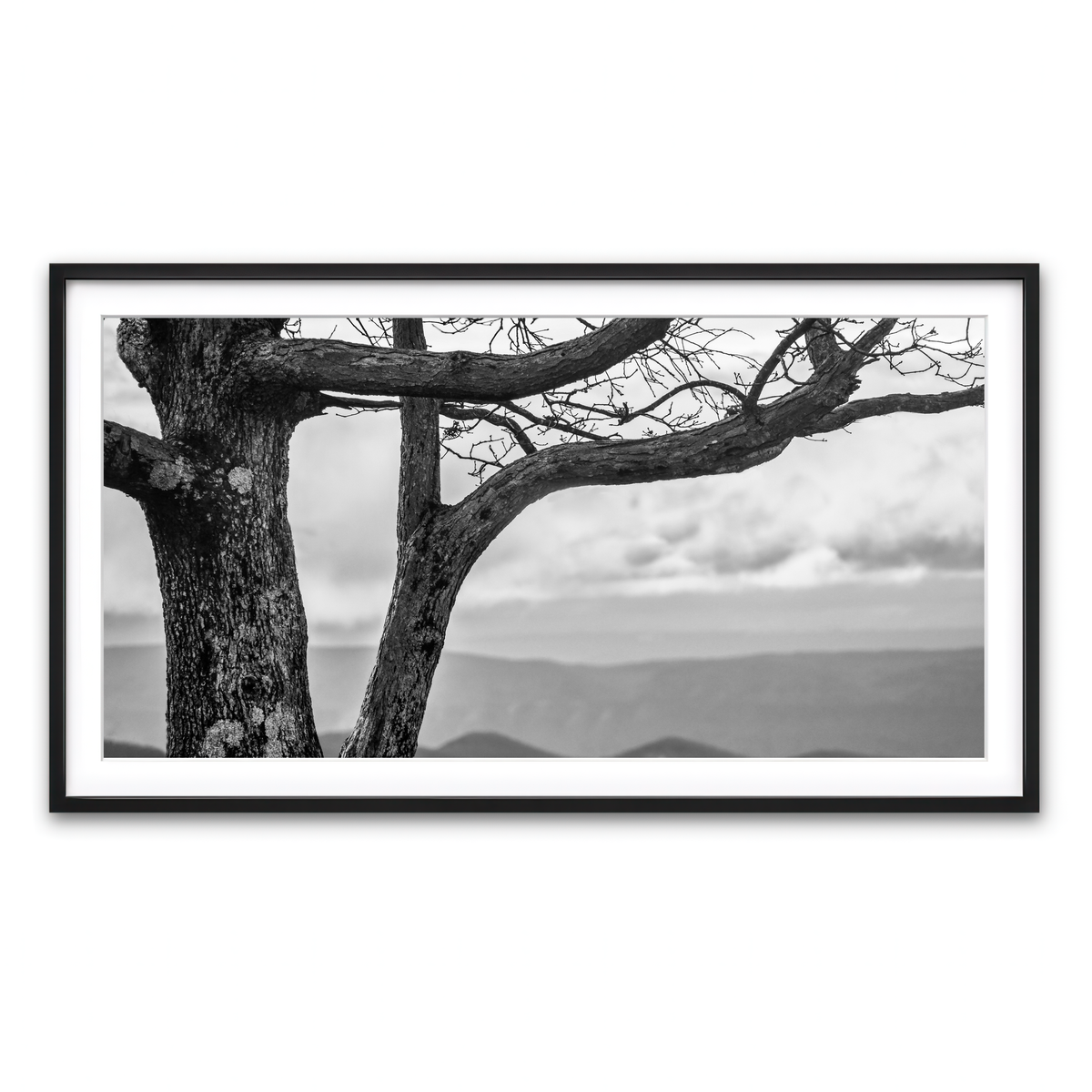 Framed Print 2x1 Black