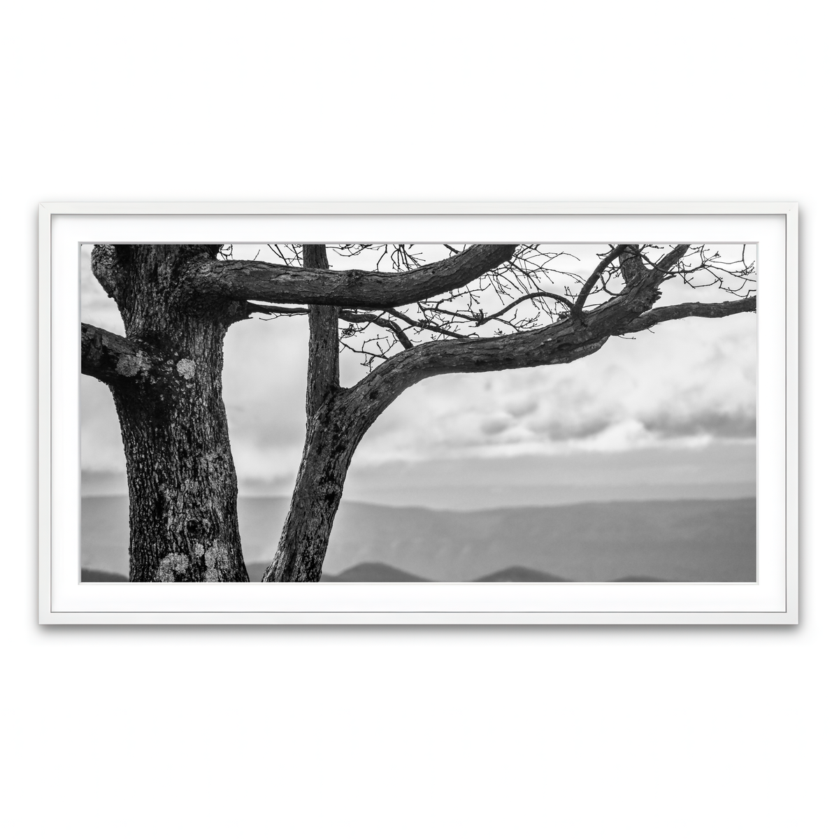 Framed Print 2x1 White