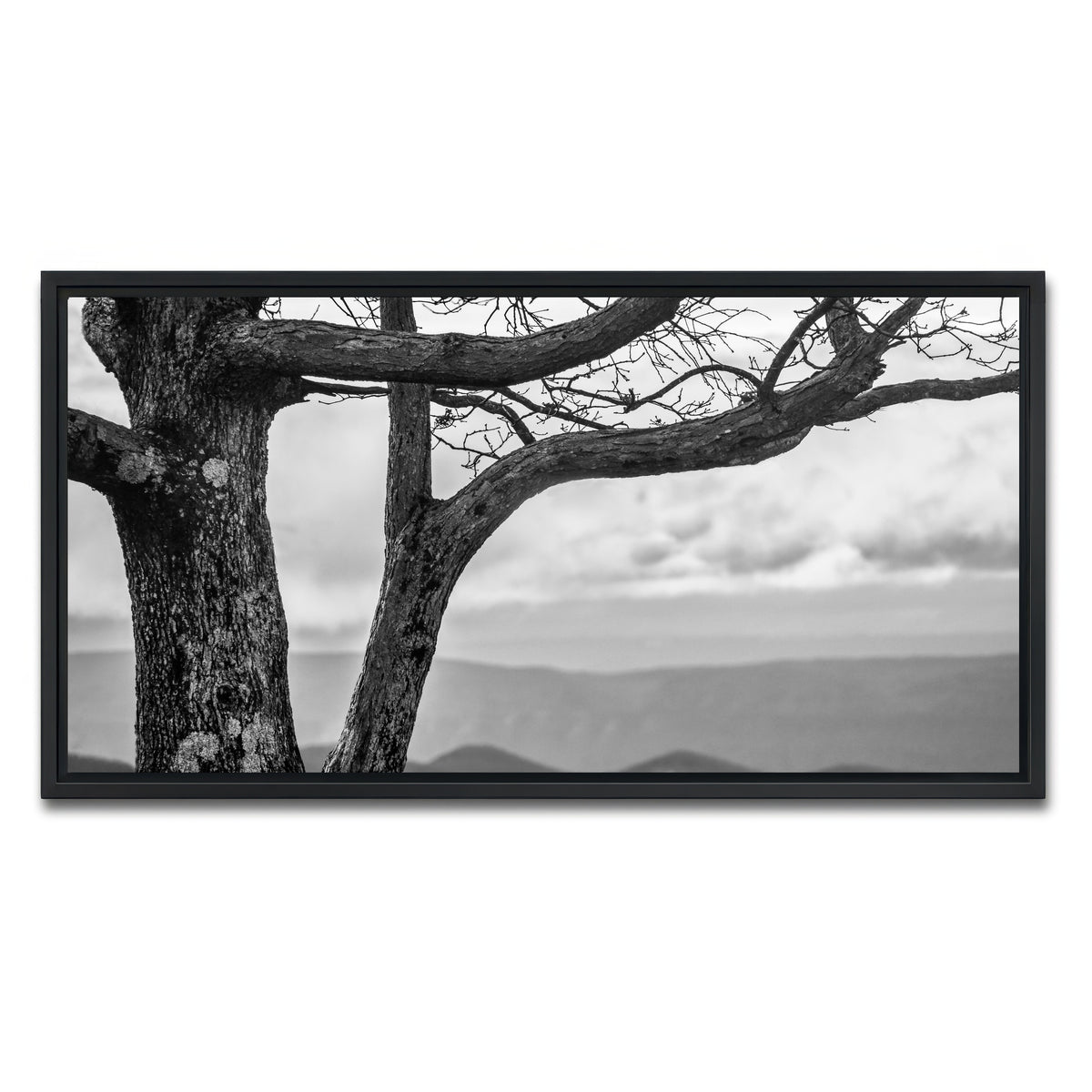 AUTO-MOCKUP WHITE | Desolate Limbs | 1 Piece | Black Framed Canvas | group=2x1
