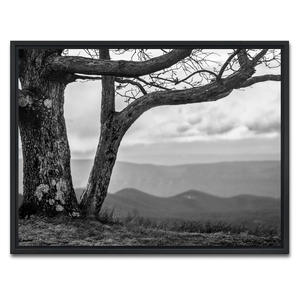 AUTO-MOCKUP WHITE | Desolate Limbs | 1 Piece | Black Framed Canvas | group=4x3