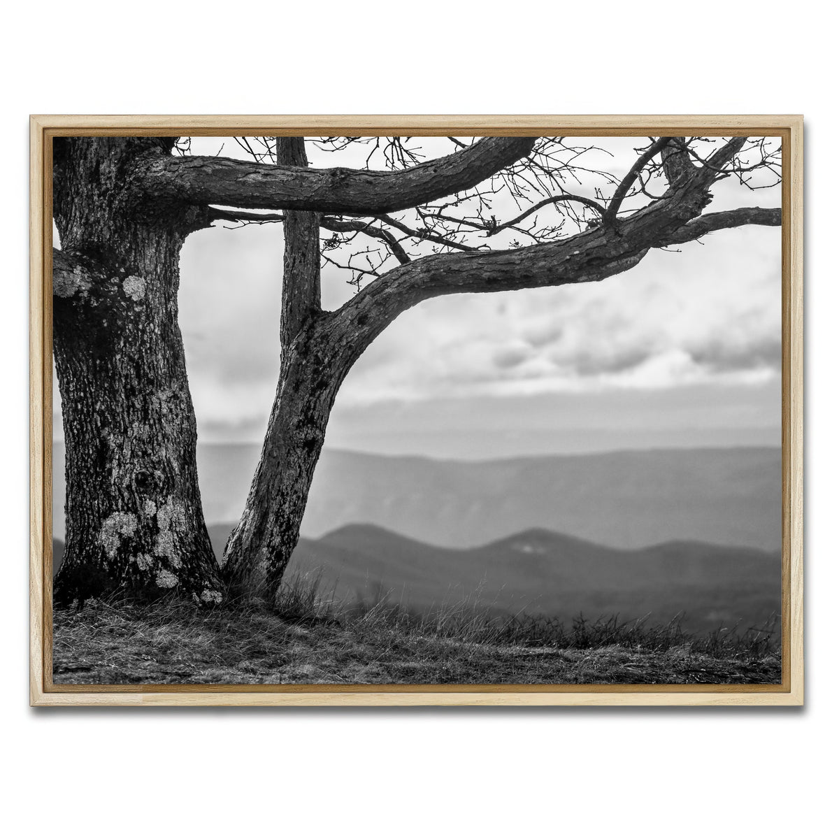 AUTO-MOCKUP WHITE | Desolate Limbs | 1 Piece | Natural Framed Canvas | group=4x3
