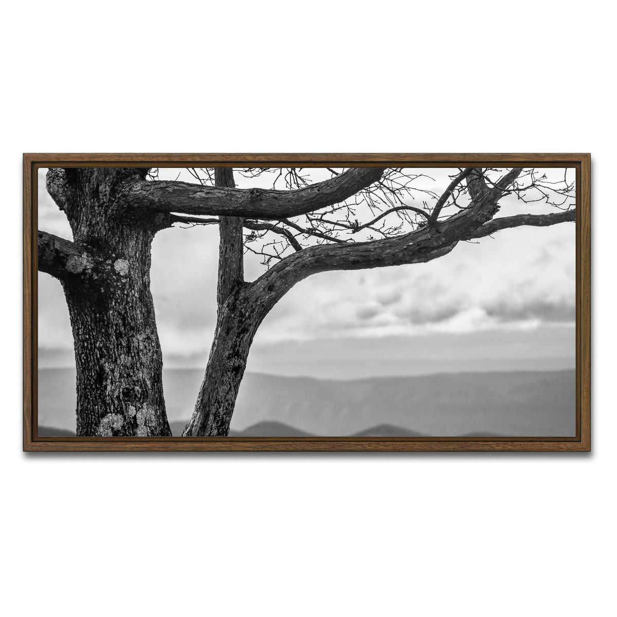 AUTO-MOCKUP WHITE | Desolate Limbs | 1 Piece | Walnut Framed Canvas | group=2x1