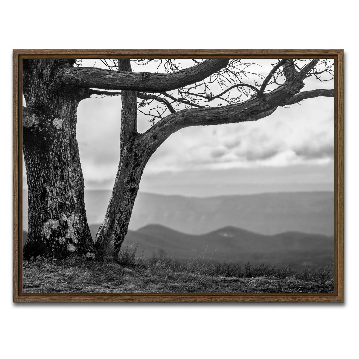 AUTO-MOCKUP WHITE | Desolate Limbs | 1 Piece | Walnut Framed Canvas | group=4x3