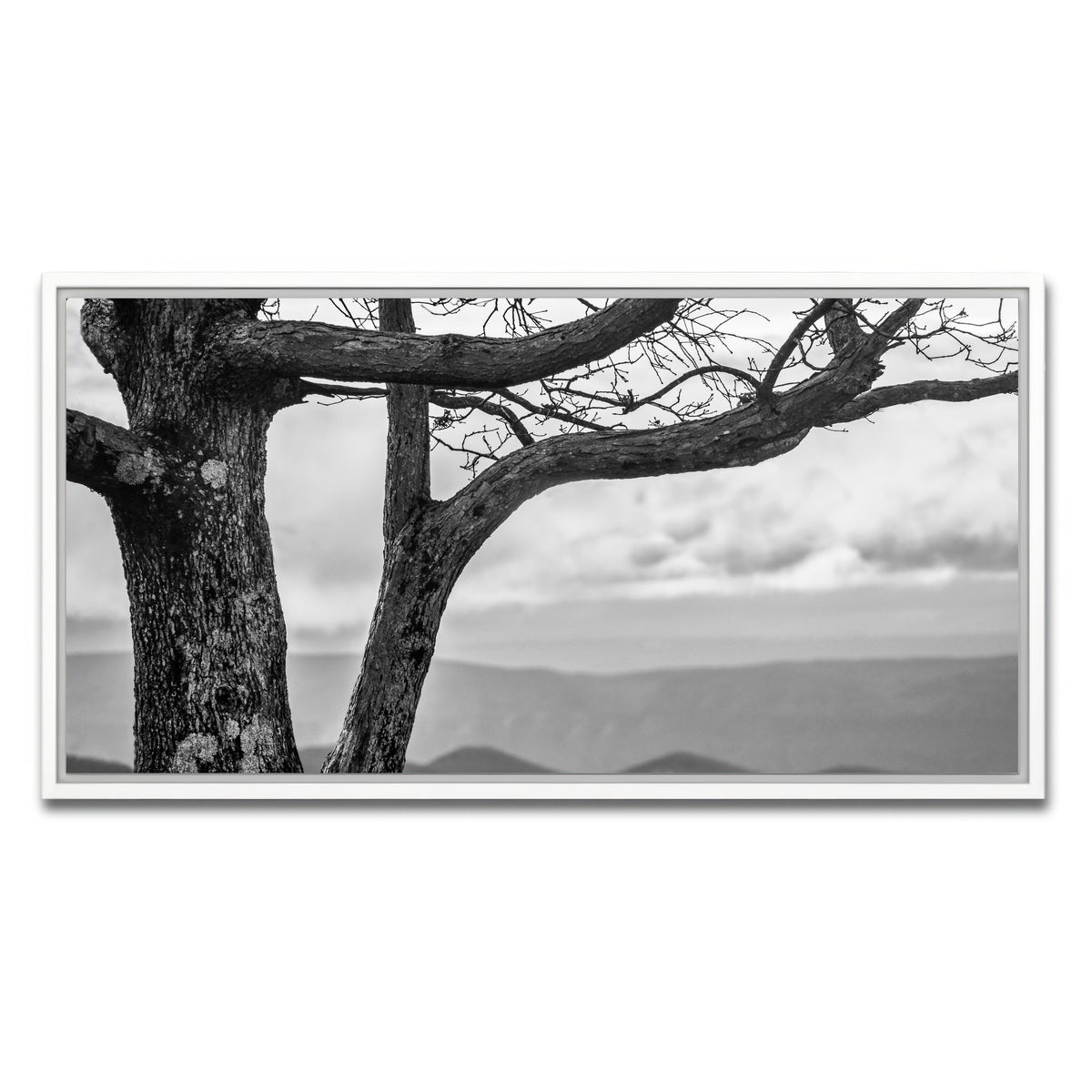 AUTO-MOCKUP WHITE | Desolate Limbs | 1 Piece | White Framed Canvas | group=2x1
