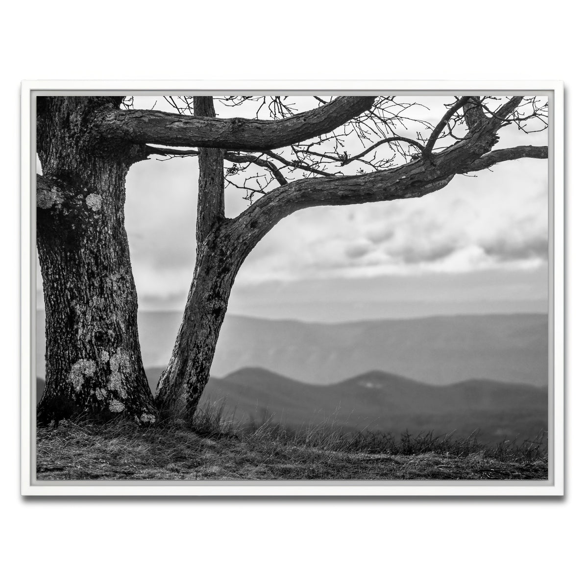 AUTO-MOCKUP WHITE | Desolate Limbs | 1 Piece | White Framed Canvas | group=4x3