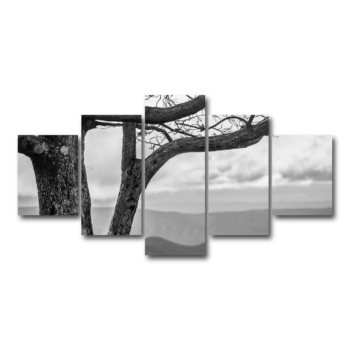 AUTO-MOCKUP WHITE | Desolate Limbs | 5 Piece | Gallery Wrap Canvas | group=5_short