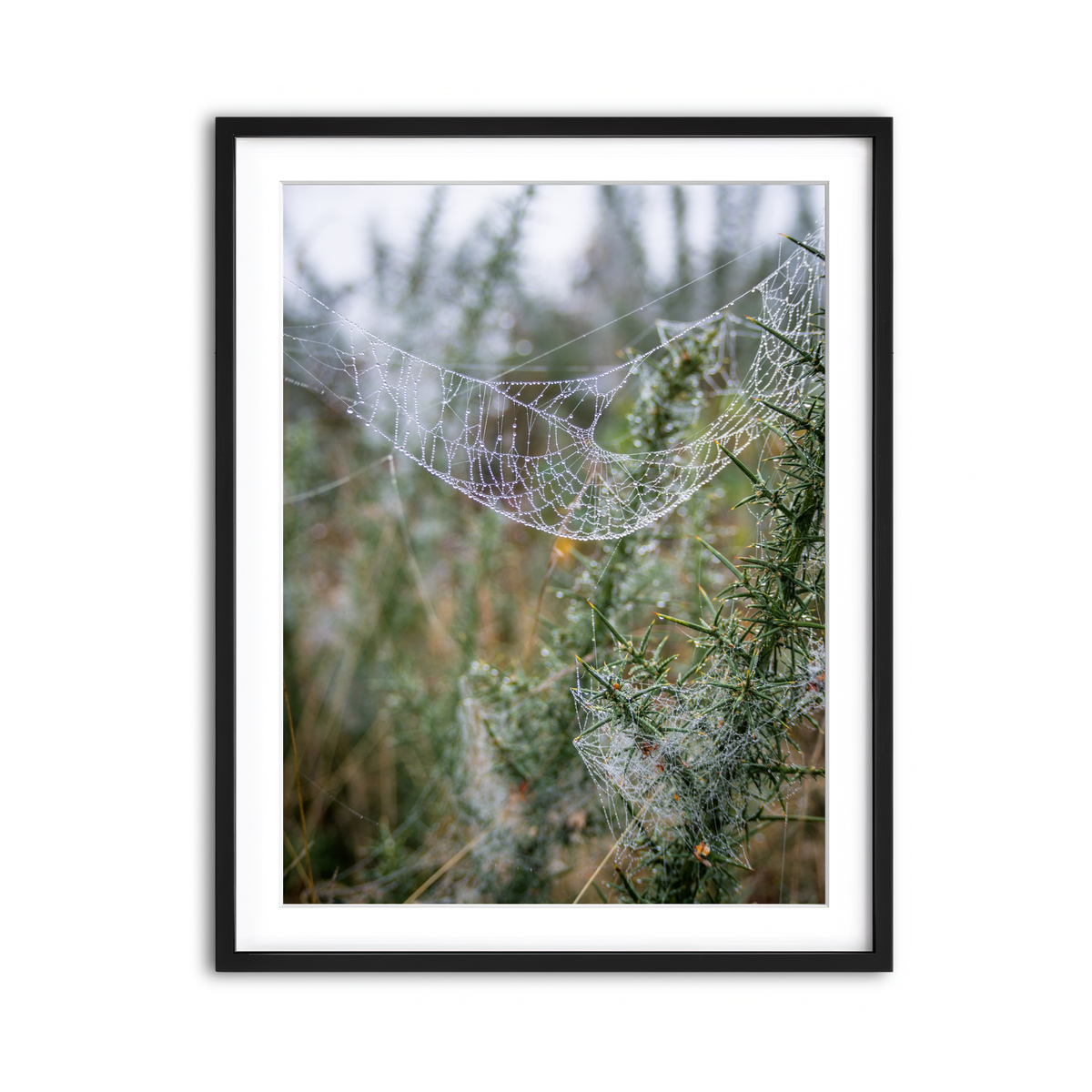 Framed Print 3x4 Black