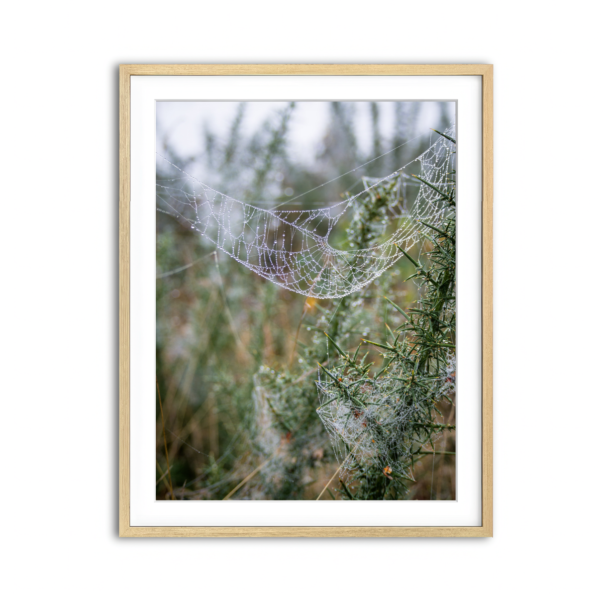 Framed Print 3x4 Natural