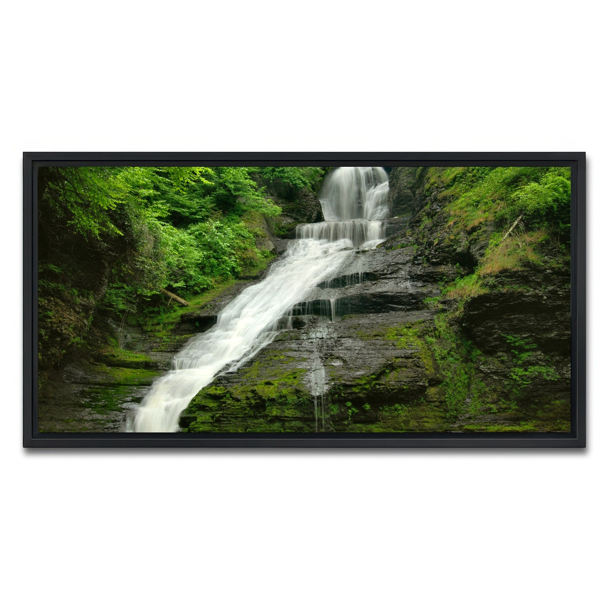 AUTO-MOCKUP WHITE | Dingmans Falls | 1 Piece | Black Framed Canvas | group=2x1