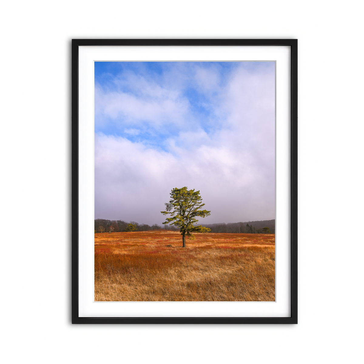 Framed Print 3x4 Black